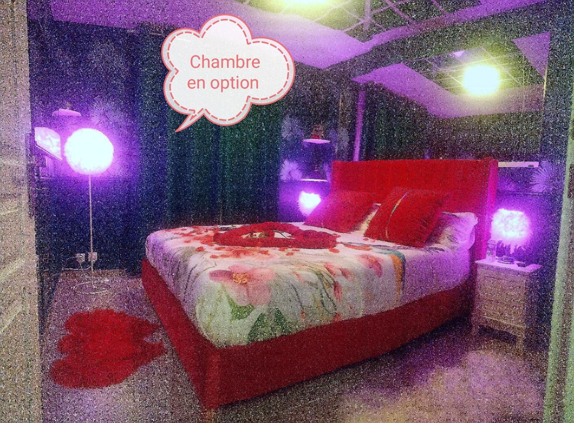 Romantisme et glamour 2 avec spa , clim et jardin Dijon Extérieur photo